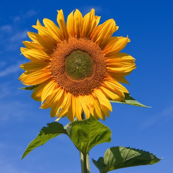 Meet Your Posher - Picture 1 of 2